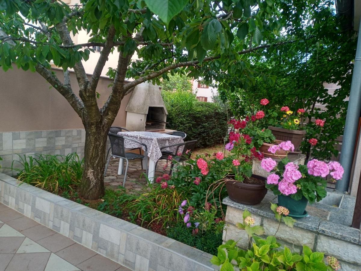 Apartmani Alma PUY Exterior foto